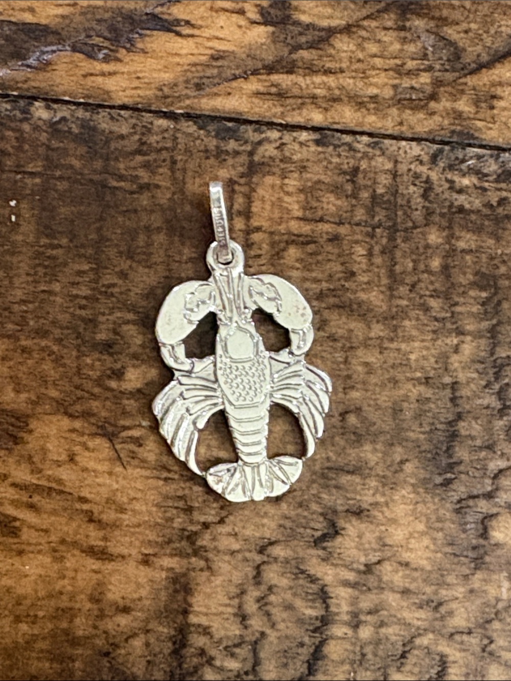 Sterling  Lobster Charm Pendant for Reptile Lovers